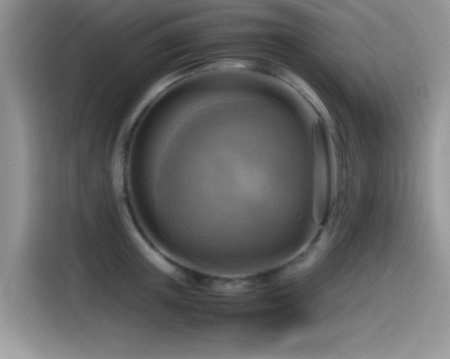 X0000115560851200911061551