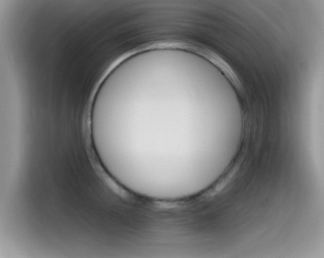 X0000115560852200911061551