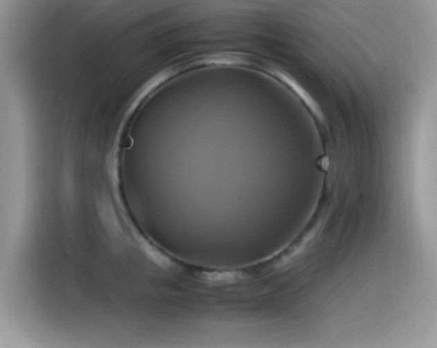 X0000115560853200911061551