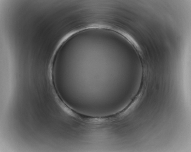 X0000115560854200911061552