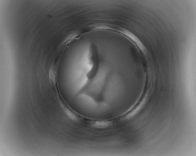 X0000115560857200911061552
