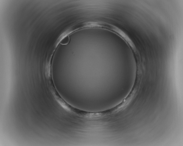 X0000115560858200911061552
