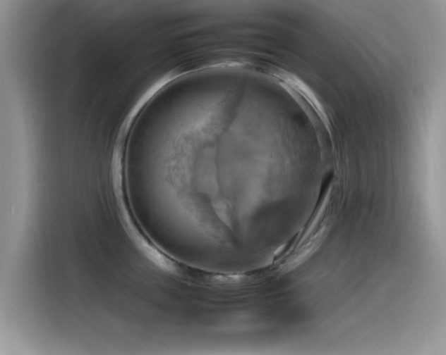 X0000115560859200911061552
