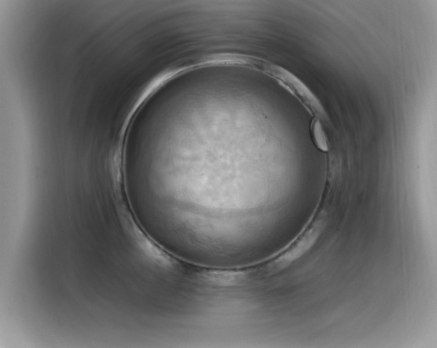 X0000115560860200911061552