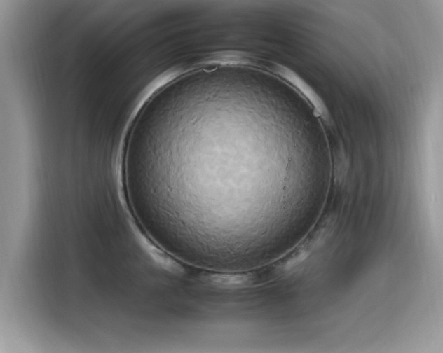 X0000115560861200911061552