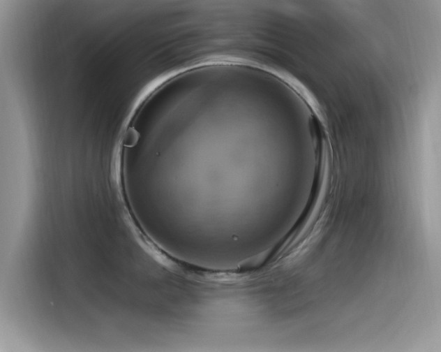 X0000115560862200911061552