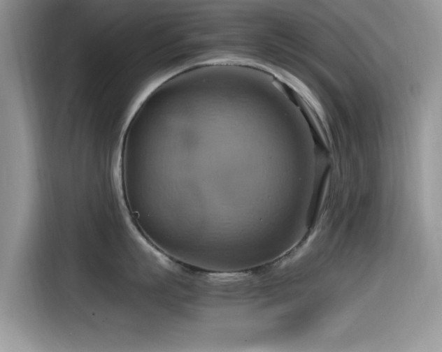 X0000115560863200911061552