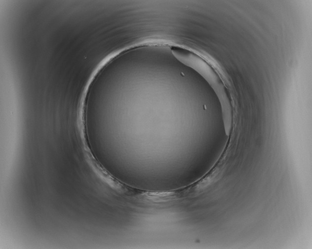 X0000115560864200911061552