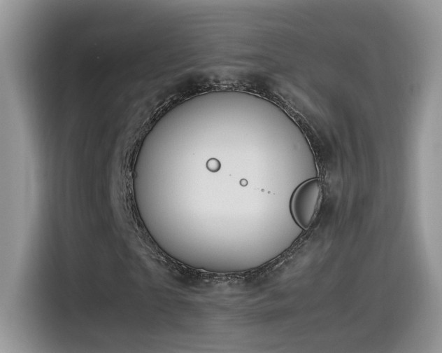 X0000115560865200911061551