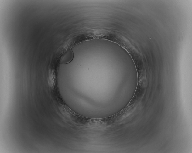 X0000115560866200911061551