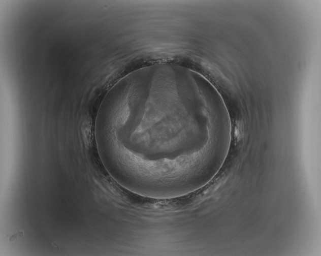 X0000115560867200911061551