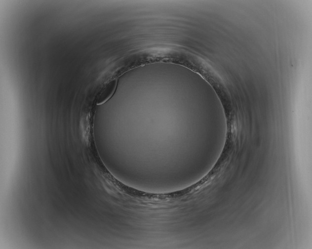 X0000115560868200911061551
