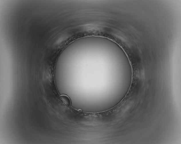 X0000115560869200911061551