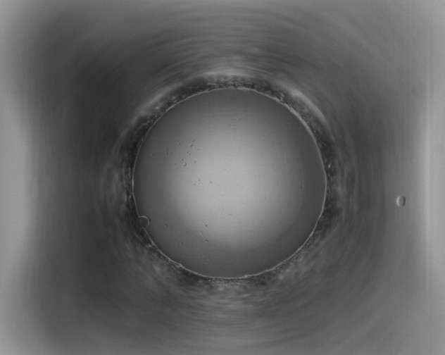 X0000115560870200911061551