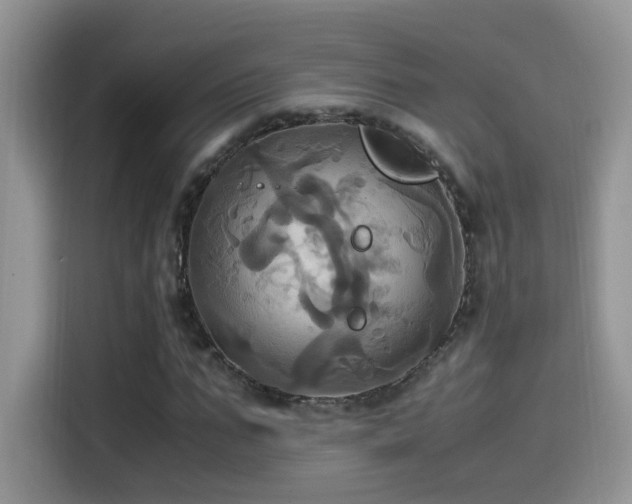 X0000115560871200911061551