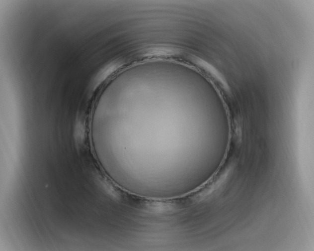 X0000115560874200911061551