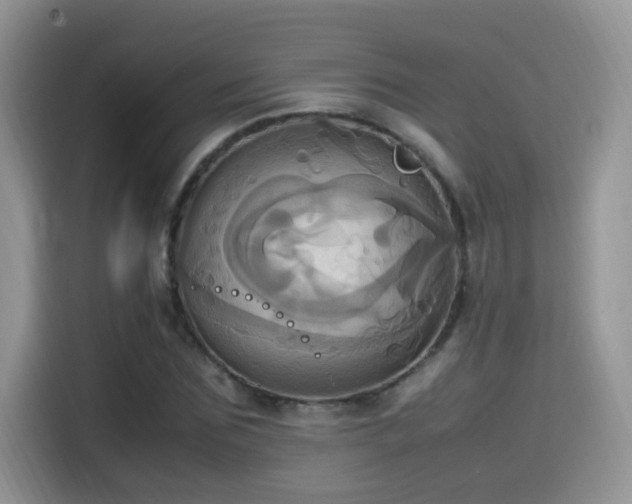 X0000115560875200911061551