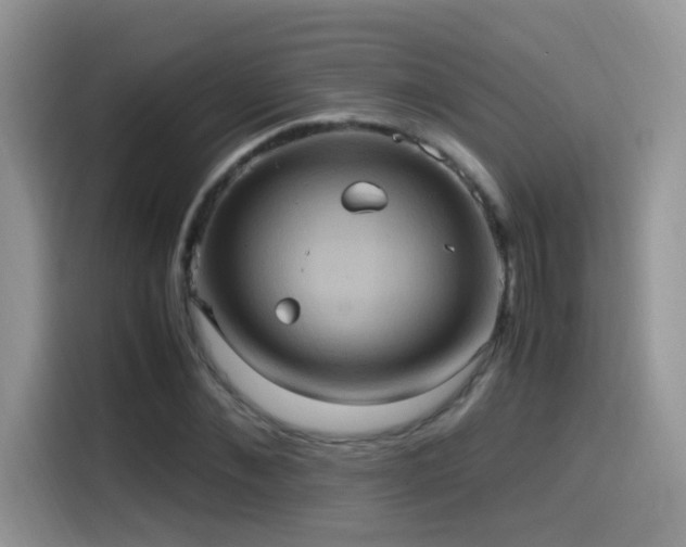 X0000115560876200911061551