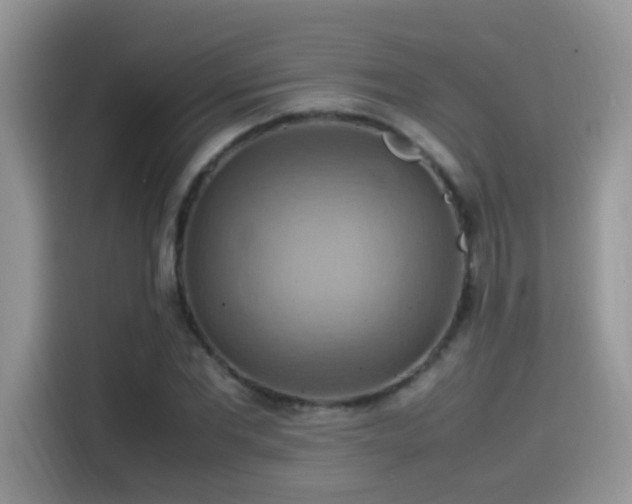 X0000115560877200911061551