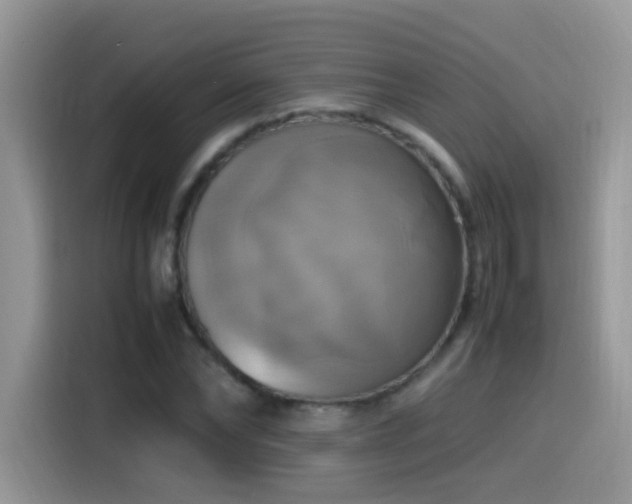 X0000115560878200911061551