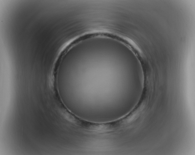 X0000115560879200911061551