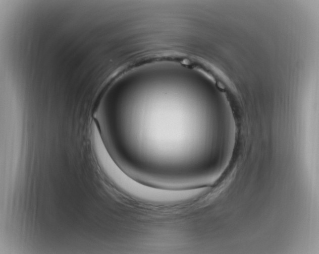 X0000115560881200911061551