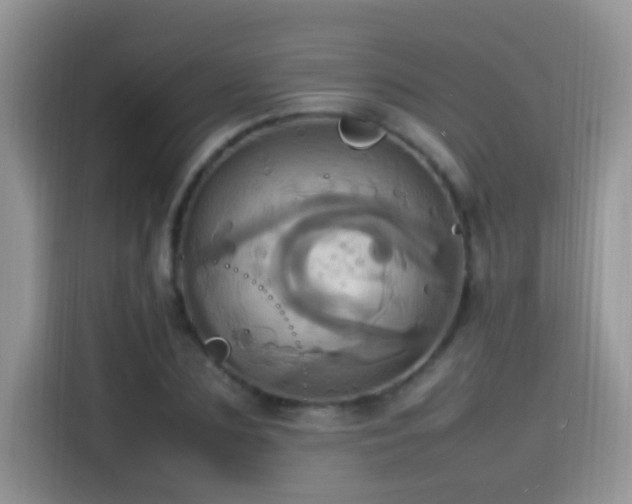 X0000115560883200911061551