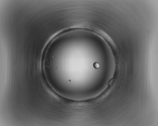 X0000115560884200911061551