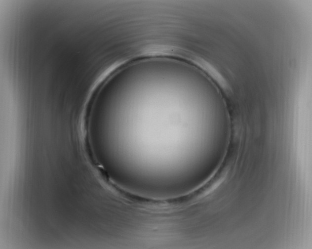 X0000115560885200911061551