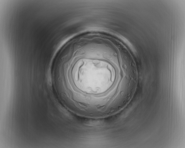 X0000115560887200911061551