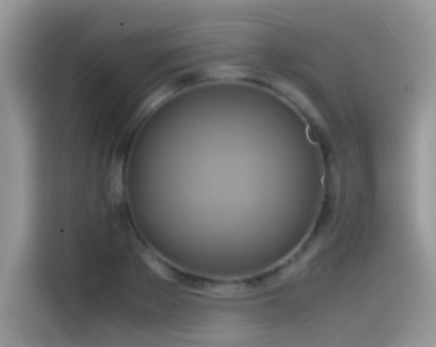 X0000115560889200911061551