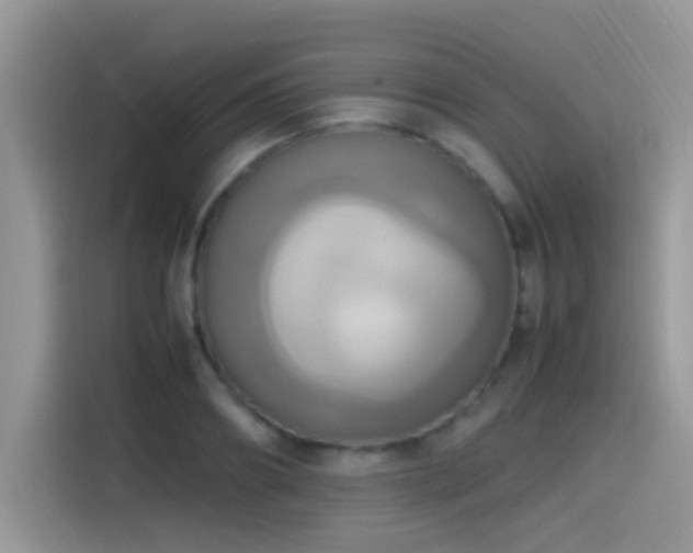 X0000115560890200911061551