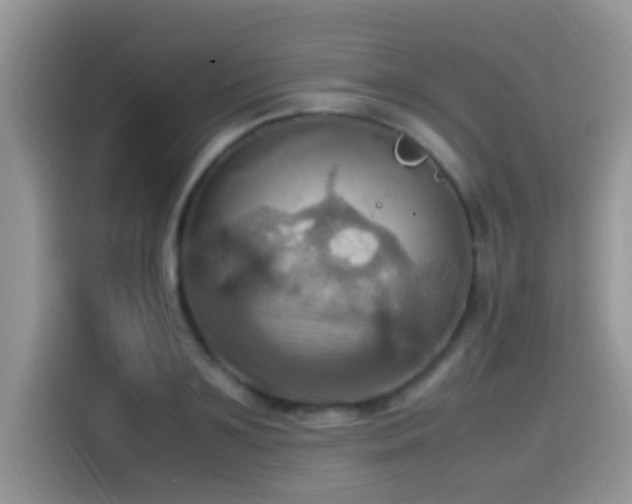X0000115560891200911061551