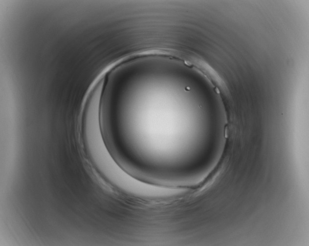 X0000115560892200911061551