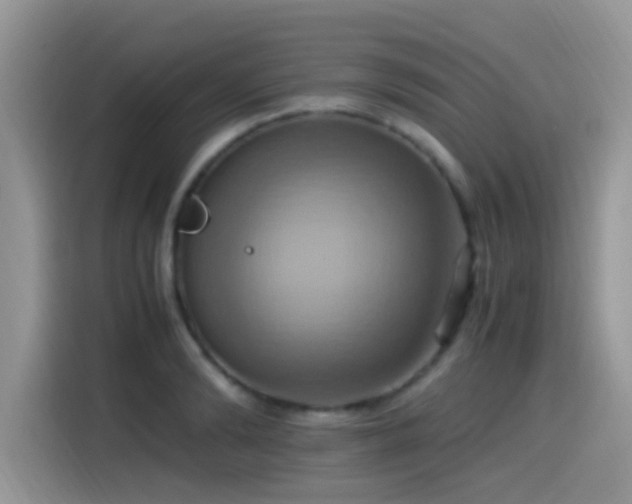 X0000115560894200911061551