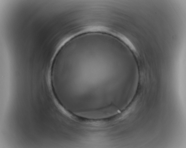 X0000115560895200911061551
