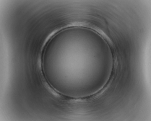 X0000115560896200911061551