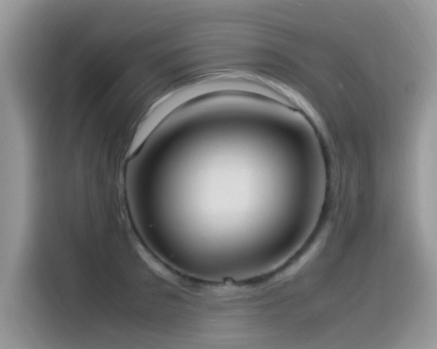 X0000115560897200911061551