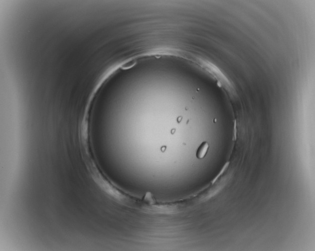 X0000115560900200911061551