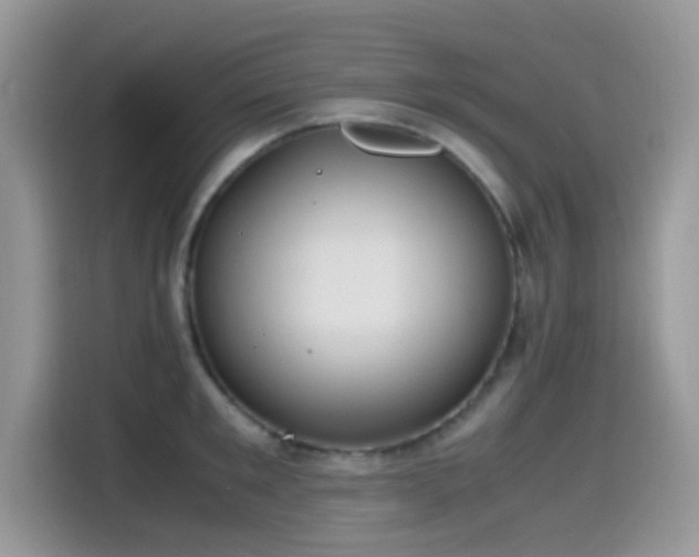 X0000115560901200911061551