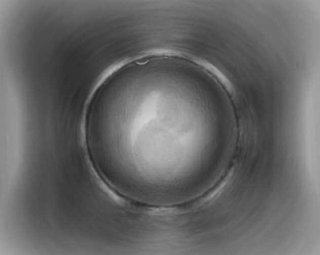 X0000115560902200911061551