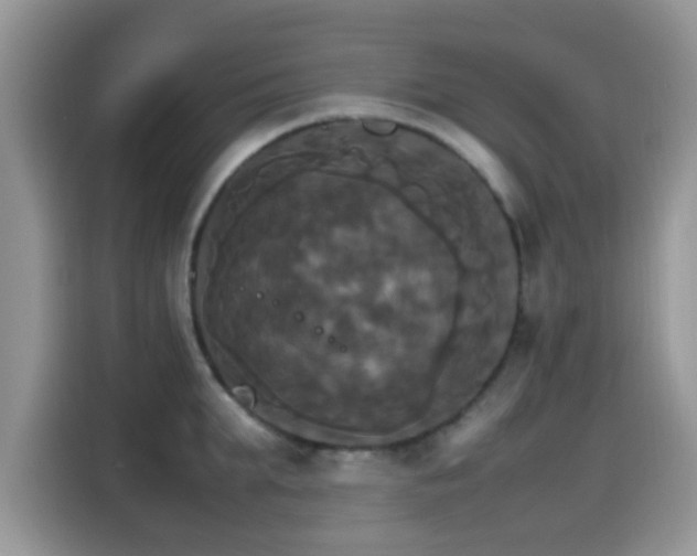 X0000115560903200911061551