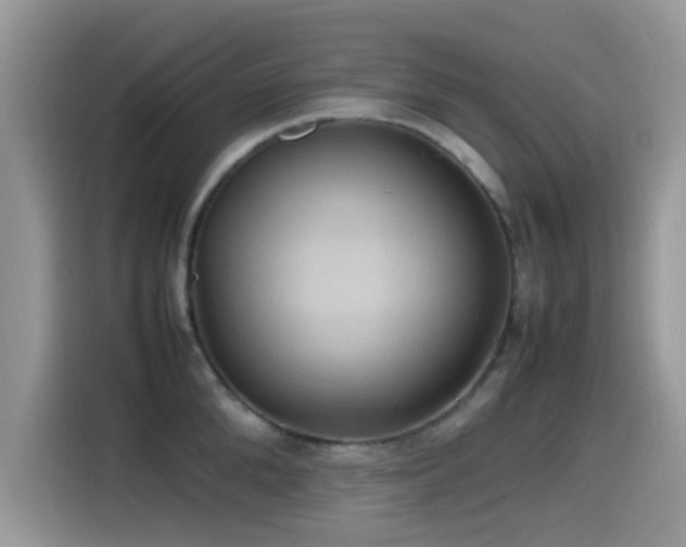 X0000115560904200911061551