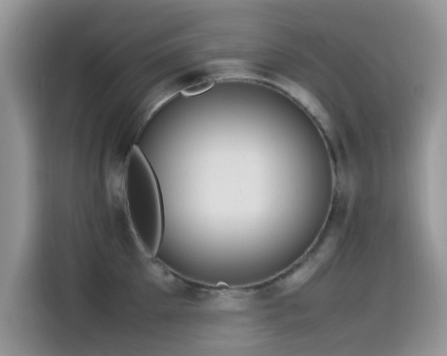 X0000115560905200911061550