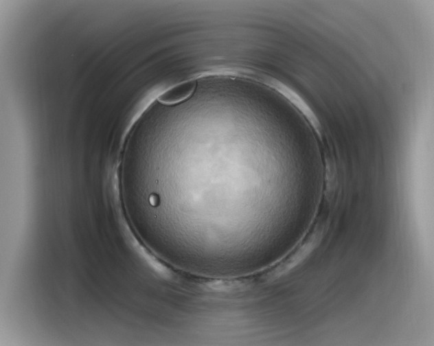 X0000115560906200911061550