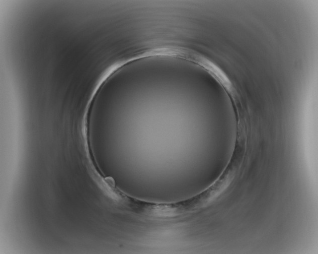 X0000115560907200911061550