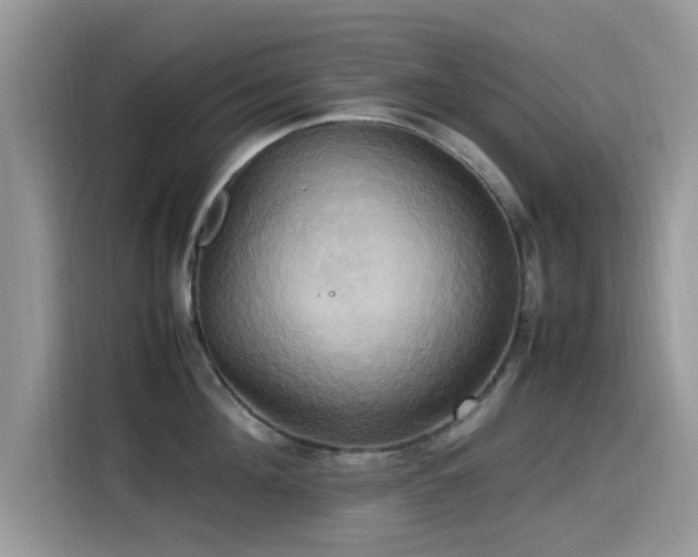 X0000115560908200911061550