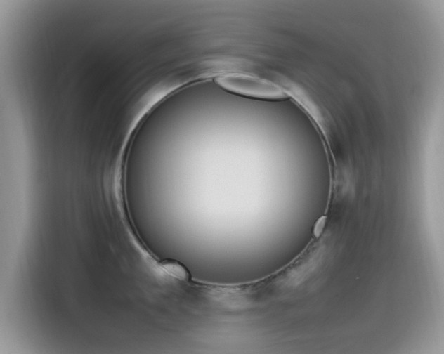 X0000115560909200911061550