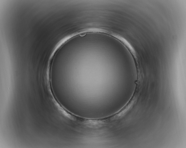 X0000115560910200911061550