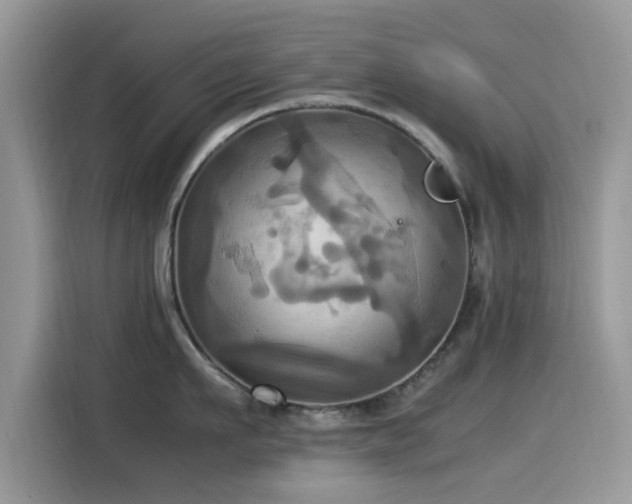 X0000115560911200911061550